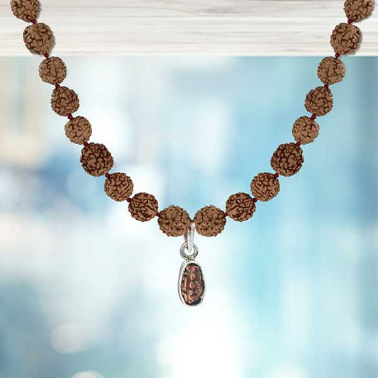 1 Mukhi Rudraksha pendant Mala - Indonesian