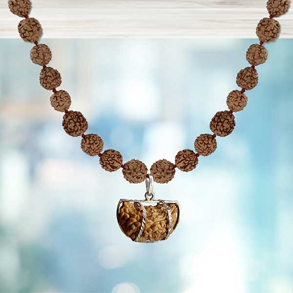 1 Mukhi Rudraksha Pendant Mala