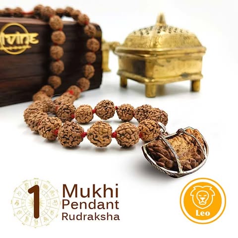 1 Mukhi Rudraksha Pendant Mala