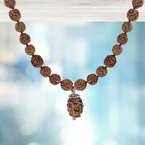 2 Mukhi Rudraksha Pendant Mala