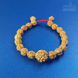 3 Mukhi Rudraksha Bracelets - Nepali