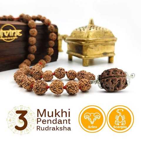 3 Mukhi Rudraksha Pendant Mala