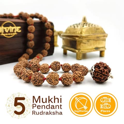 5 Mukhi Rudraksha Pendant Mala