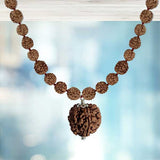 5 Mukhi Rudraksha Pendant mala (Big size)