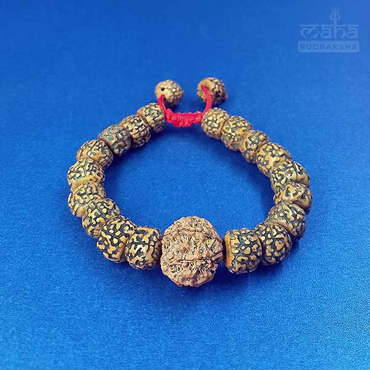 6 Mukhi Fancy Nepali Rudraksha Bracelets