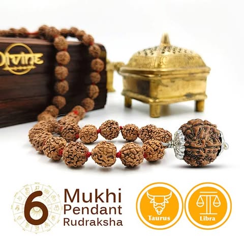 6 Mukhi Rudraksha Pendant Mala