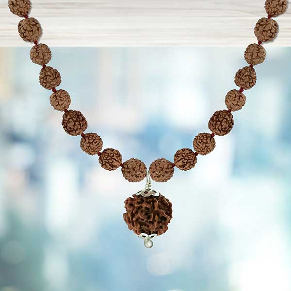 6 Mukhi Rudraksha Pendant Mala