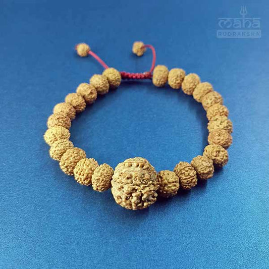 7 Mukhi Rudraksha Bracelet (all 7 Mukhi Beads)