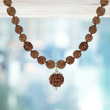 7 Mukhi Rudraksha Pendant Mala