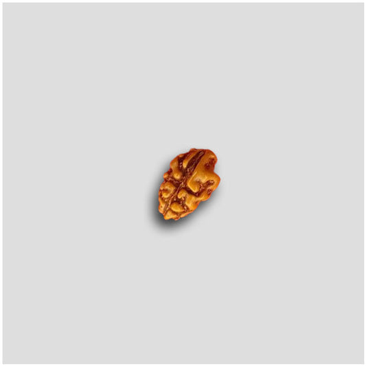 1 Mukhi Indonesian Rudraksha Bead