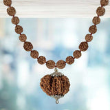 Garbh Gouri Rudraksha Pendant Mala