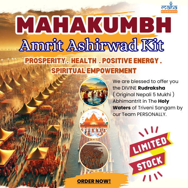 Mahakumbh Amrit Ashirwad Kit